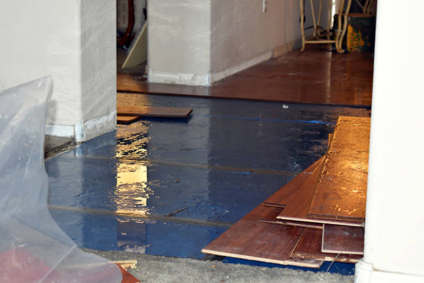 Professional Flood Damage Repair technician working in Highlands, NC